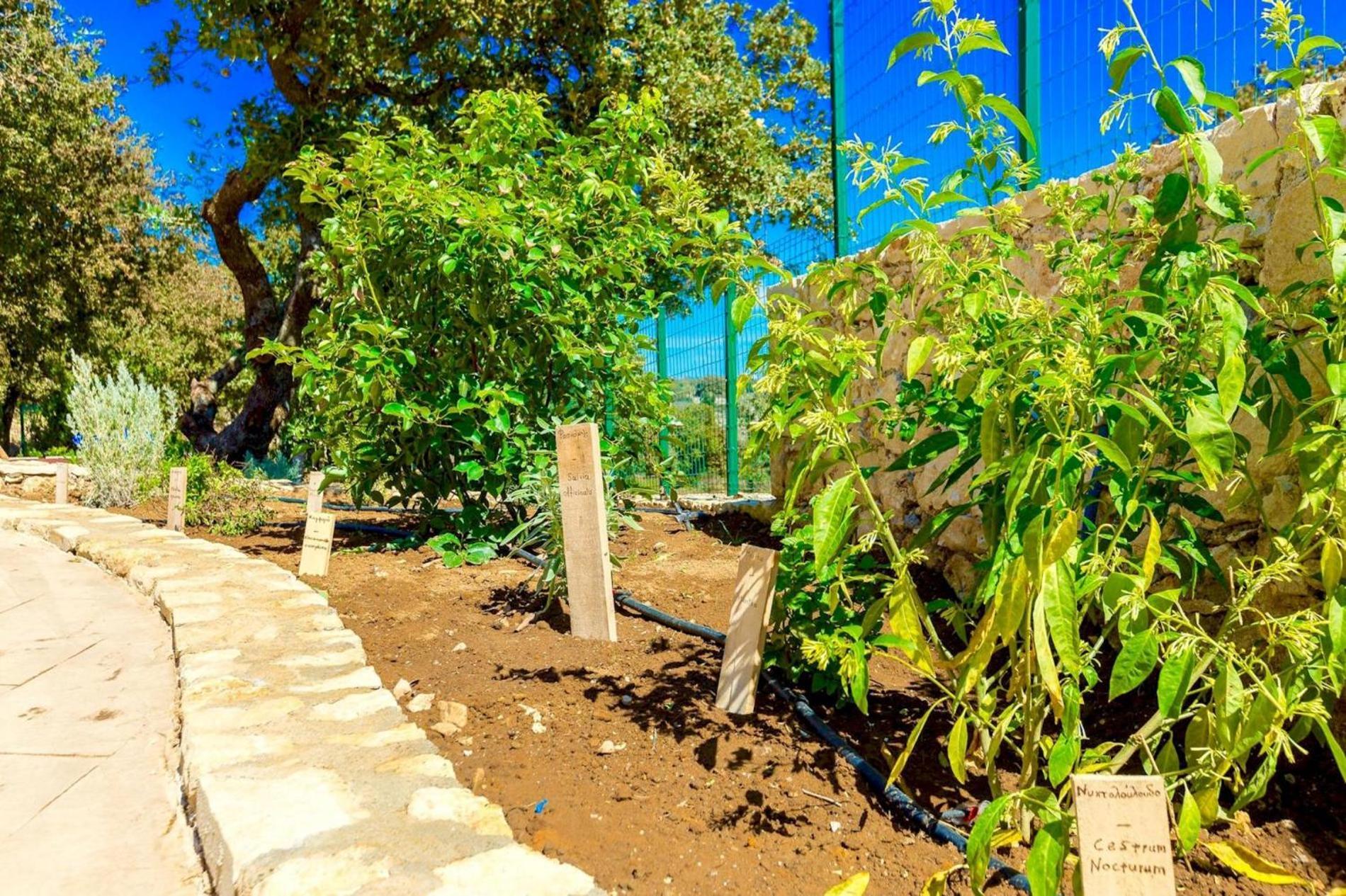 Villa Trules Fotinos Ngoại thất bức ảnh